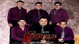 Grupo Pegasso En Vivo Recordando a Fredman Maldonado [upl. by Engedi852]