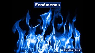 Fenômenos [upl. by Enyaj]