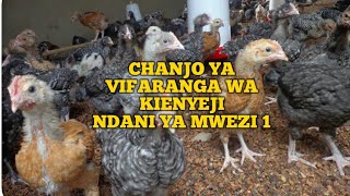 CHANJO YA VIFARANGA WA KIENYEJI [upl. by Alejandra]