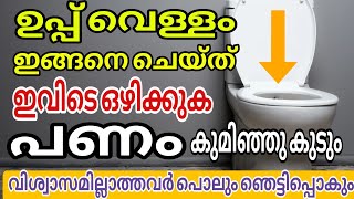 ഉപ്പ് ഇങ്ങനെ ചെയ്താൽ കിടന്നുറങ്ങിയാലും പണം വരും Panavasyam [upl. by Spooner188]