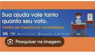 mesário voluntário TRE Justiça eleição 2024😱😱😱 [upl. by Eillek]