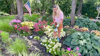 Planting Tiny Quick Fire Hydrangea Echinacea Brunnera amp Joe Pye Weed On sale Real Time Gardening [upl. by Lletnwahs979]