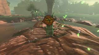 Korok seeds  Ubota Point  Faron Tower 39  Zelda BOTW [upl. by Rebmat]