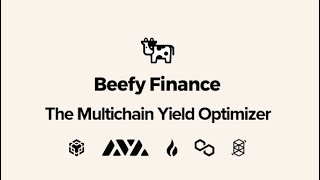 Beefy Finance  A step by step guide to everything [upl. by Ifill211]