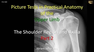 Picture tests in upper limb anatomy shoulder region and axilla 2 [upl. by Brander248]