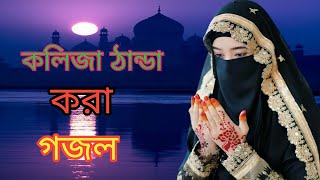 Bangla Gojol  নতুন গজল সেরা গজল  New Bangla Gazal 2023 Ghazal Gojol Islamic Gazal [upl. by Mixam]