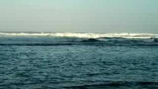 Surf at Haena State Park Kauai HI [upl. by Nadual]