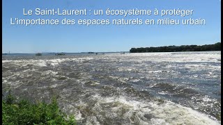 La nature en ville juillet 2024 [upl. by Nonnahsed]