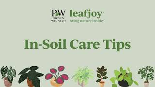 leafjoy InSoil Care Tips [upl. by Kolosick]