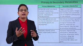 Class10th – Primary and Secondary Metabolites  Enzymes  Tutorials Point [upl. by Katzir471]