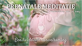 Geleide prenatale meditatie een liefdevolle verwelkoming verbinden met je baby [upl. by Hassin840]