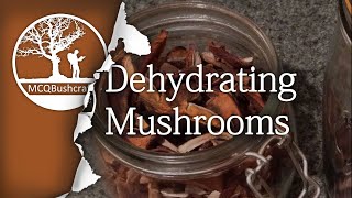 Bushcraft Foraging Dehydrating Mushrooms [upl. by Panta435]