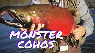 PNW Monster Coho Fishing at Humptulips River WA [upl. by Htiekal]