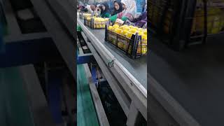 Иранский сочный мандарин экспорт в Россию  Iranian Juicy Mandarin exporting to Russia [upl. by Tish]