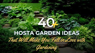 40 Hosta Garden Ideas That Will Make You Fall in Love with Gardening 🍃🌿  Gardening Ideas [upl. by Neron]