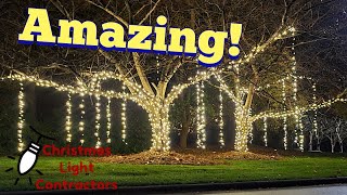 Professional tips How to hang lights from trees for Weddings and Christmas Lights [upl. by Ailana729]