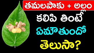 తమలపాకు అల్లం కలిపి తింటే ఏమౌతుందో తెలుసా   Tamalapaku Allam Uses Telugu [upl. by Farrow]