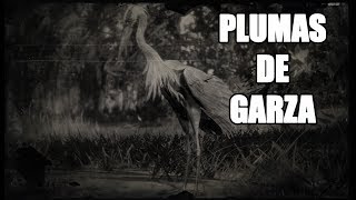 Red Dead Redemption 2 – ¿Cómo conseguir plumas de Garza Heron Plumes [upl. by Gail]