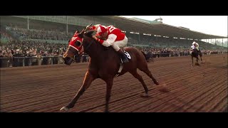 Seabiscuit Final Race 2003 [upl. by Akceber]