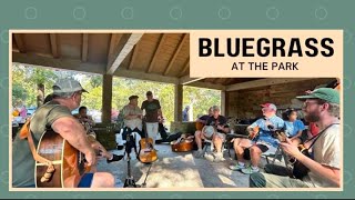 Bluegrass at the Park [upl. by Jocelyn]