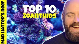 Top 10 Zoanthids for a Reef Tank [upl. by Kcirrad]