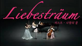 리스트  사랑의 꿈 F Liszt  Liebesträum for piano trio [upl. by Ykceb45]