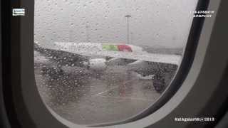 TAP Portugal Airbus A340300  A320 Flights from GaleãoAntonio Carlos Jobim to Madeira Airport [upl. by Aleinad]