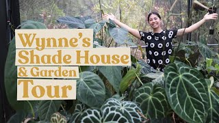 Wynnes Shade House amp Garden Tour foliagefreakplants  Anthurium Philodendron Monstera amp more [upl. by Lanford]