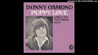 Donny Osmond  Puppy Love 1972 magnums extended mix [upl. by Letty]