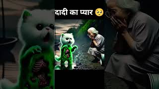 Dadi ka pyar Billi ke Prati😭😭😭😭💋💋👍👍😘👌 [upl. by Haziza]