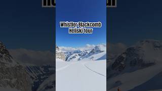 Whistler Heli ski snowboard heliskiing wintersport shortsfeed [upl. by Liscomb]