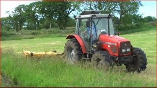 Massey Ferguson 4245 cutting with Tarup 204 mower HD [upl. by Ain]