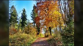 lieblingsorte Der Ehrenfriedhof und Landschaftsgarten bei Bischofsgrün [upl. by Yelad]