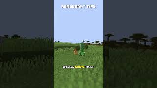 How to Deal With Phantoms in Minecraft [upl. by Alicirp]