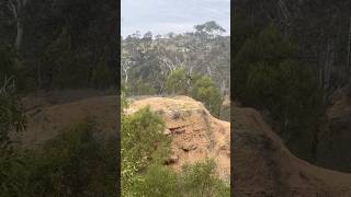 Insane step up at Omeo [upl. by Kilbride]