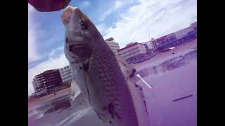 Pesca en quotmonte hermosoquot [upl. by Peih656]