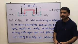 31Electrochemical cell  Galvanic Cell  Voltaic Cell and Salt bridge class 12th electrochemistr [upl. by Athalie497]