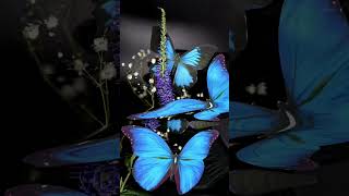 Morpho Butterfly 🦋🦋 Scanner Art Process amp Results art newmusic artshorts flowerart butterfly [upl. by Greenman]