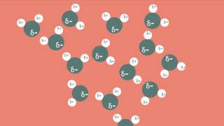 Polar Bonds and Molecules [upl. by Manley]