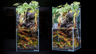 DIY Skyscraper Paludarium With Moss Waterfall [upl. by Anialram973]