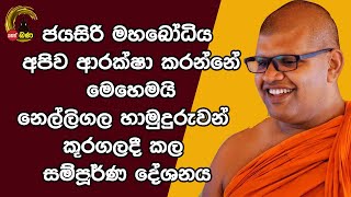 Wathurakumbure dammarathana thero  2023 09 02 [upl. by Thenna]