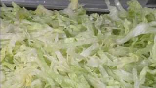 Industrial Food Processor  IFP5000 Lettuce Cutting  CharliesMachineandSupplycom [upl. by Ralfston]