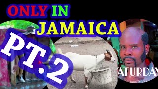 PT2  funny video  only in jamaica not a real place [upl. by Stalder]