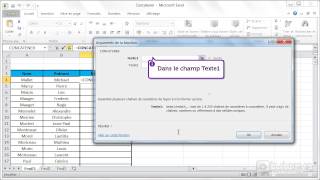 Comment regrouper des données avec Excel 2010 [upl. by Luckin]