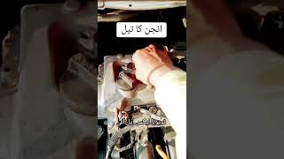 Toyota XLI Oil change kixxengineoil 20W50 amapiano oilchange [upl. by Norrie]