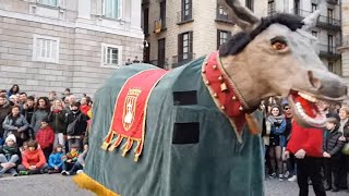 450 anys de la Mulassa de Barcelona I Galop de la Mulassa de Montblanc HD [upl. by Tihom]