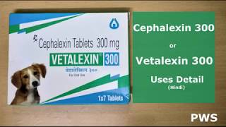 Cephalexin Tablet Vetalexin  for Dogs Information in Hindi [upl. by Ynohtnanhoj]