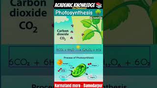 Process of Photosynthesis 🌳🌞NCERTCBSEby Ashish sir 🔥biology science photosynthesis shorts ak [upl. by Mraz]