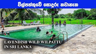 Wilpattu Hotels In Sri Lanka  Lavendish Wild Wilpattu In Sri Lanka [upl. by Satsoc]