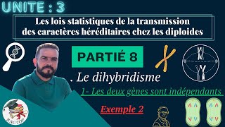 UNITÉ 3  Parti 8  le dihybridisme deux gènes indépendants  EXEMPLE 2 [upl. by Ellette]